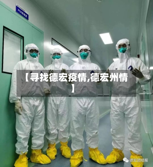 【寻找德宏疫情,德宏州情】