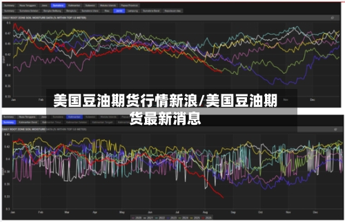 美国豆油期货行情新浪/美国豆油期货最新消息