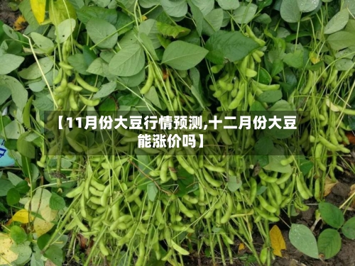 【11月份大豆行情预测,十二月份大豆能涨价吗】