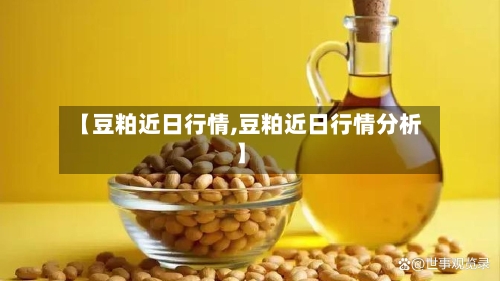 【豆粕近日行情,豆粕近日行情分析】