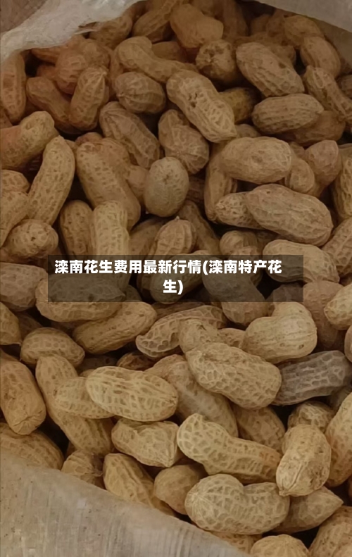 滦南花生费用最新行情(滦南特产花生)-第2张图片