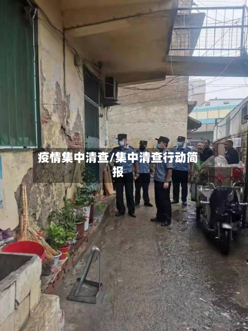 疫情集中清查/集中清查行动简报
