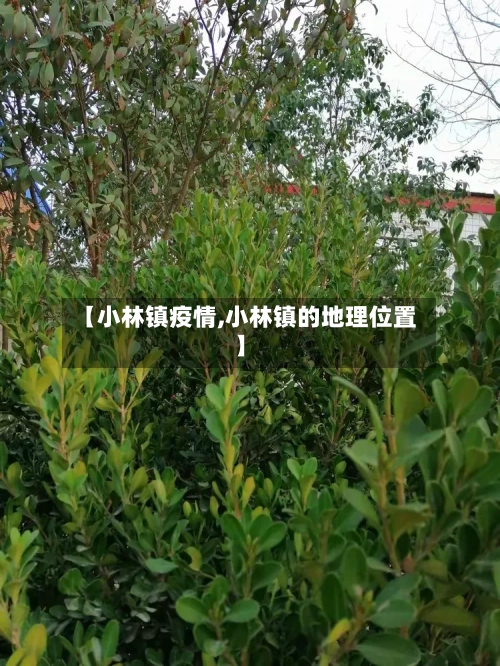 【小林镇疫情,小林镇的地理位置】-第2张图片