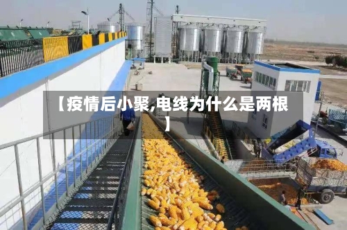 【疫情后小聚,电线为什么是两根】