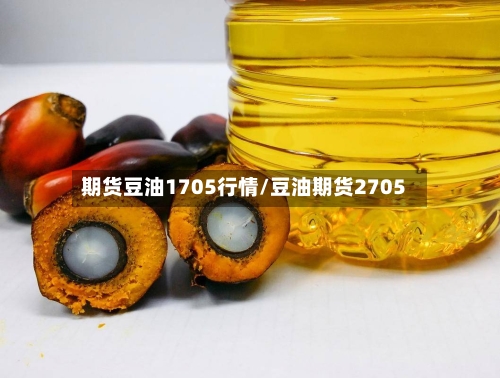 期货豆油1705行情/豆油期货2705-第2张图片