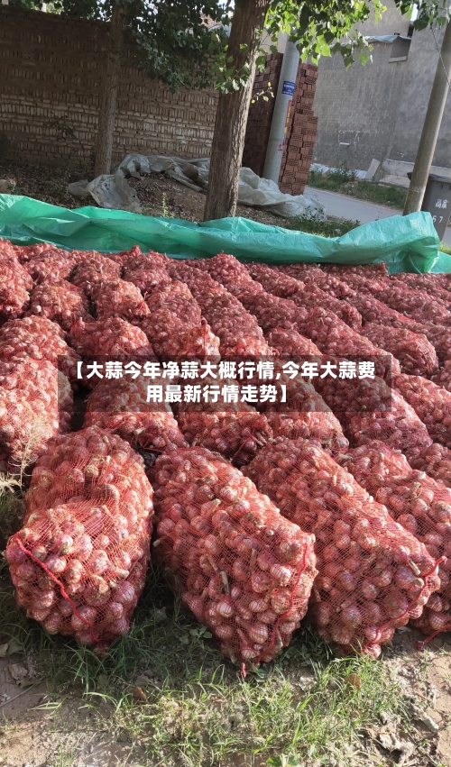 【大蒜今年净蒜大概行情,今年大蒜费用最新行情走势】