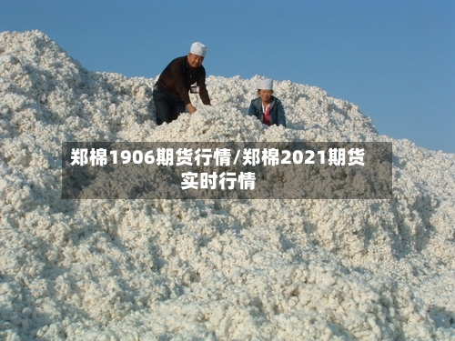 郑棉1906期货行情/郑棉2021期货实时行情