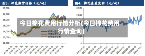 今日棉花费用行情分析(今日棉花费用行情查询)-第2张图片