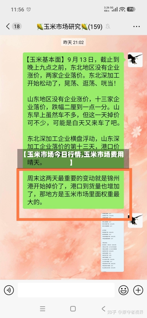 【玉米市场今日行情,玉米市场费用】