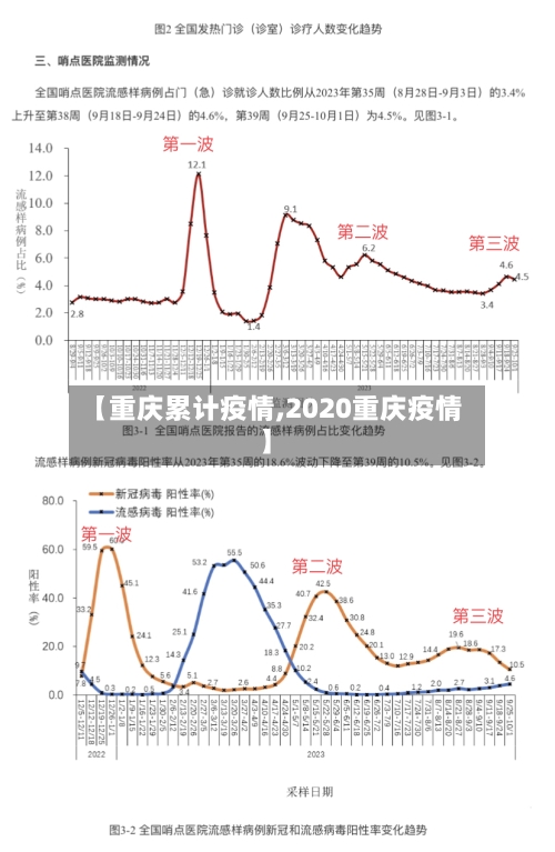 【重庆累计疫情,2020重庆疫情】-第2张图片