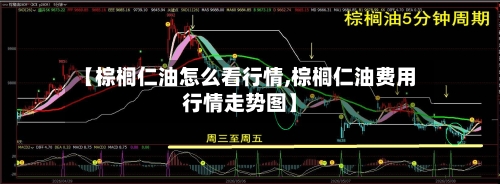 【棕榈仁油怎么看行情,棕榈仁油费用行情走势图】