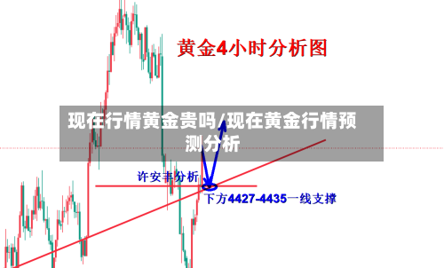 现在行情黄金贵吗/现在黄金行情预测分析
