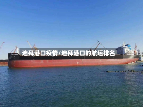 迪拜港口疫情/迪拜港口的航运排名