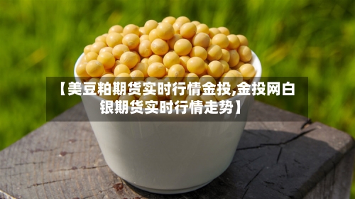 【美豆粕期货实时行情金投,金投网白银期货实时行情走势】