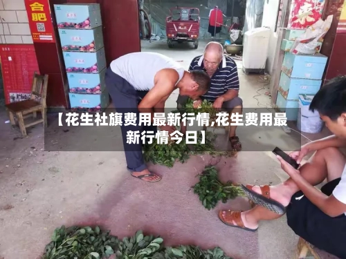 【花生社旗费用最新行情,花生费用最新行情今日】-第2张图片