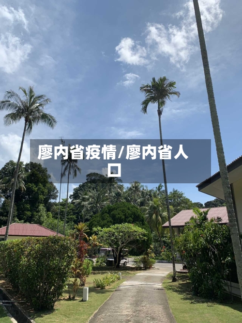 廖内省疫情/廖内省人口