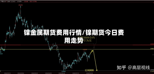 镍金属期货费用行情/镍期货今日费用走势-第2张图片