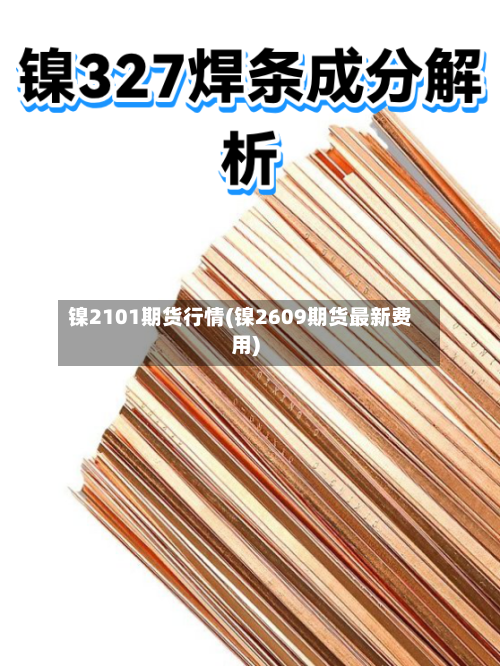 镍2101期货行情(镍2609期货最新费用)