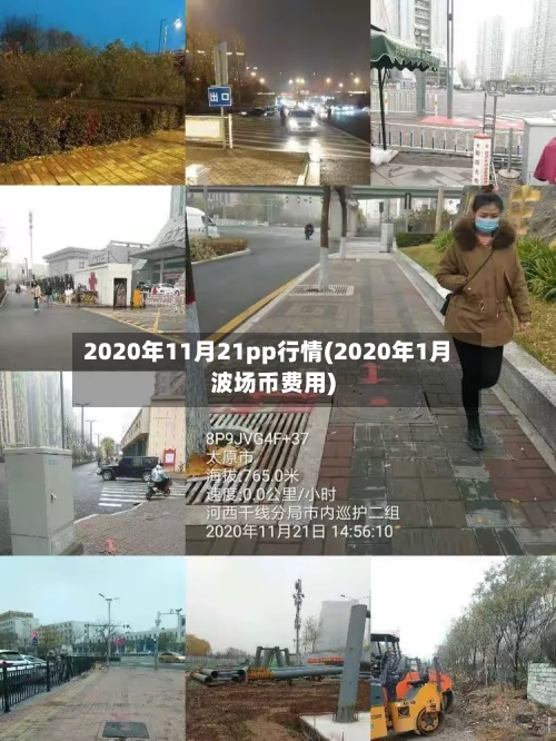 2020年11月21pp行情(2020年1月波场币费用)-第2张图片