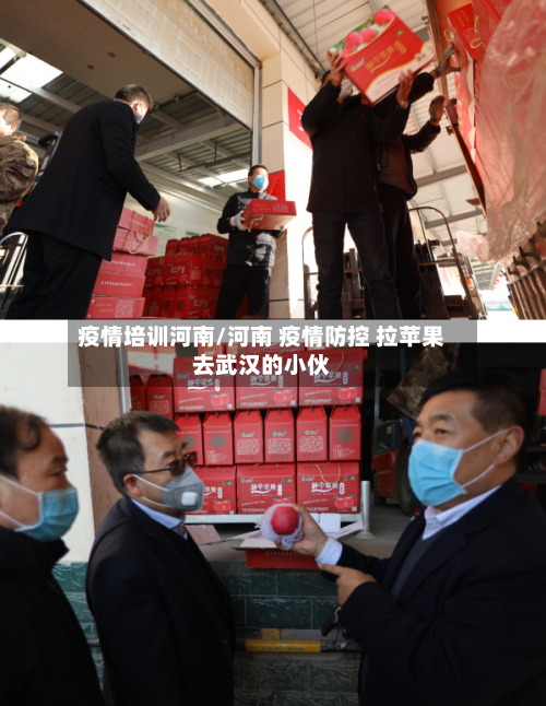疫情培训河南/河南 疫情防控 拉苹果去武汉的小伙-第2张图片