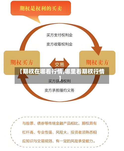 【期权在哪看行情,哪里看期权行情】-第2张图片
