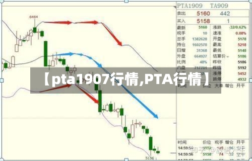 【pta1907行情,PTA行情】