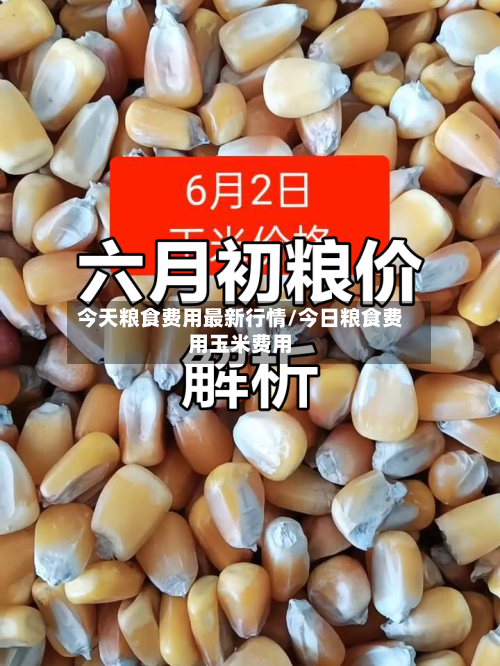 今天粮食费用最新行情/今日粮食费用玉米费用-第2张图片