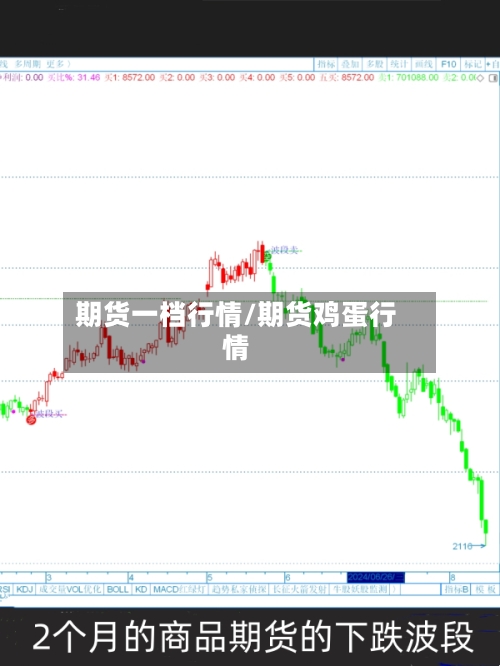 期货一档行情/期货鸡蛋行情-第2张图片