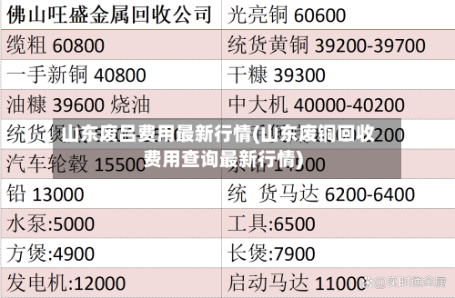 山东废吕费用最新行情(山东废铜回收费用查询最新行情)-第3张图片