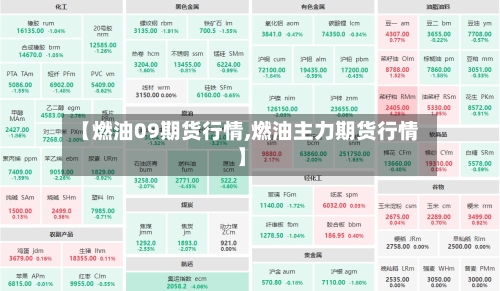 【燃油09期货行情,燃油主力期货行情】-第3张图片
