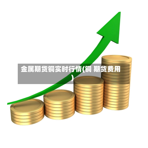 金属期货铜实时行情(铜 期货费用)