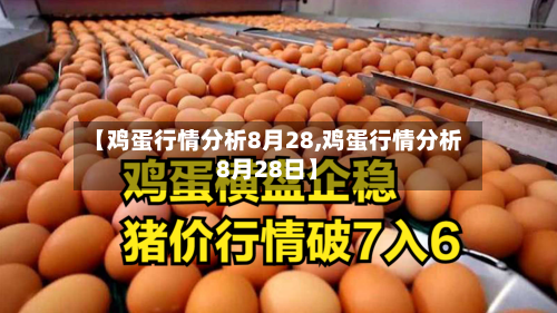 【鸡蛋行情分析8月28,鸡蛋行情分析8月28日】-第3张图片
