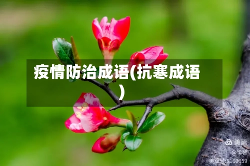 疫情防治成语(抗寒成语)-第2张图片