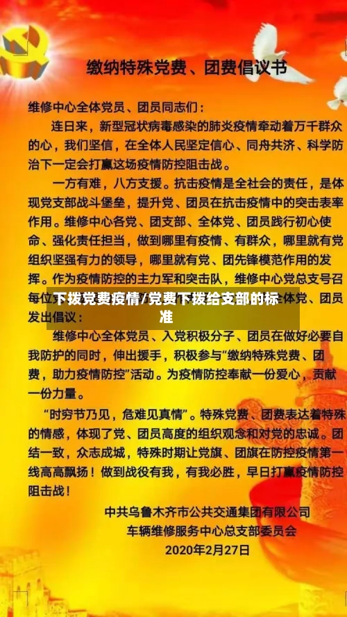 下拨党费疫情/党费下拨给支部的标准-第2张图片