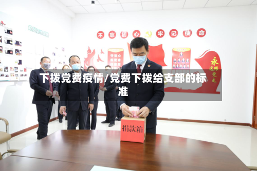 下拨党费疫情/党费下拨给支部的标准
