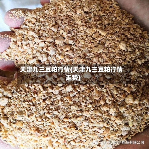 天津九三豆粕行情(天津九三豆粕行情走势)