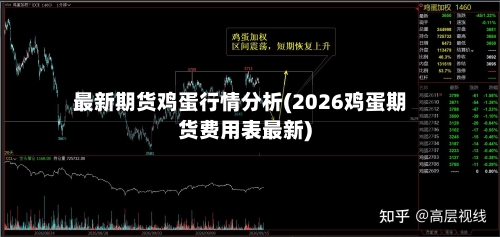 最新期货鸡蛋行情分析(2026鸡蛋期货费用表最新)