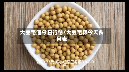 大豆毛油今日行情/大豆毛粮今天费用表