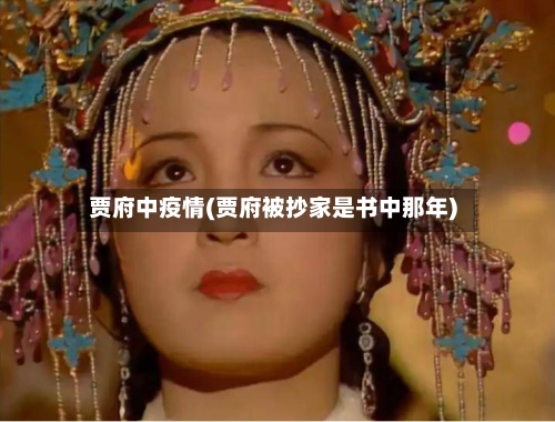 贾府中疫情(贾府被抄家是书中那年)-第3张图片