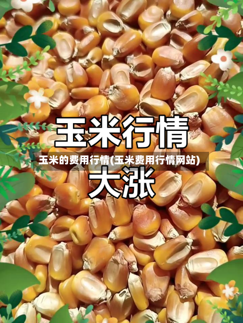玉米的费用行情(玉米费用行情网站)-第2张图片
