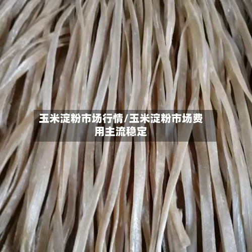 玉米淀粉市场行情/玉米淀粉市场费用主流稳定