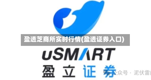 盈透芝商所实时行情(盈透证券入口)-第2张图片