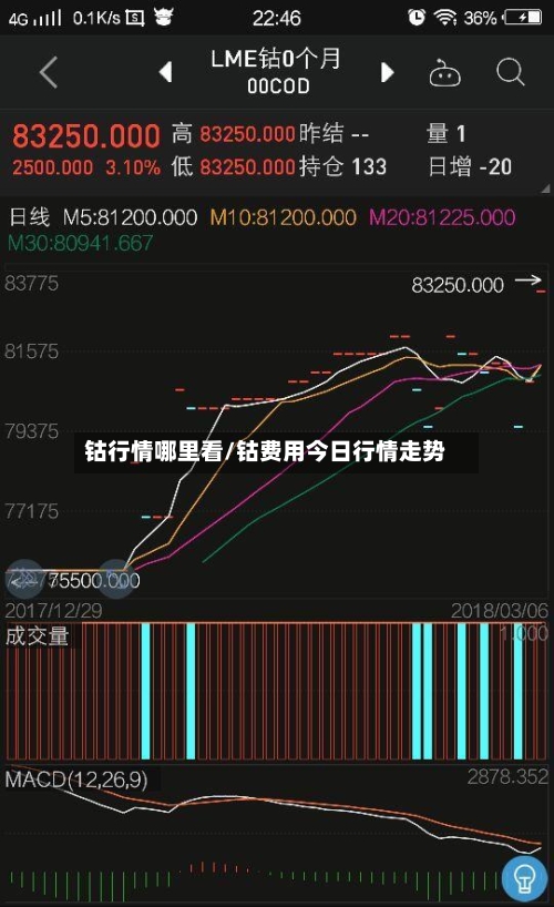 钴行情哪里看/钴费用今日行情走势