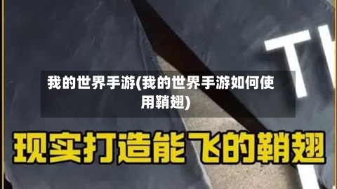 我的世界手游(我的世界手游如何使用鞘翅)-第2张图片