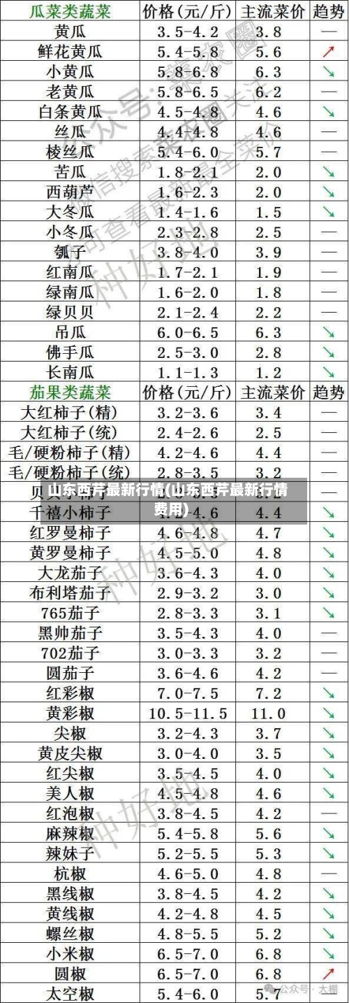 山东西芹最新行情(山东西芹最新行情费用)-第2张图片