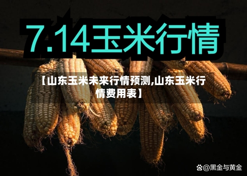 【山东玉米未来行情预测,山东玉米行情费用表】-第3张图片