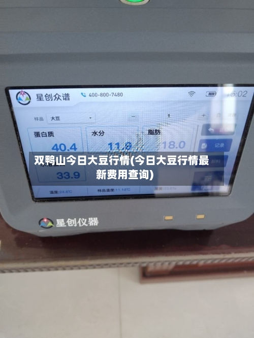 双鸭山今日大豆行情(今日大豆行情最新费用查询)