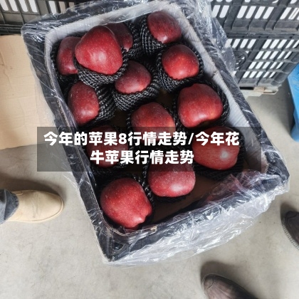 今年的苹果8行情走势/今年花牛苹果行情走势-第2张图片