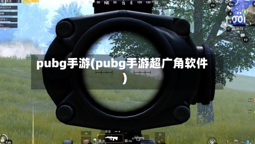 pubg手游(pubg手游超广角软件)