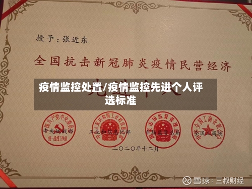 疫情监控处置/疫情监控先进个人评选标准-第2张图片